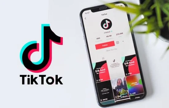 Cara Download Video TikTok Tanpa Aplikasi