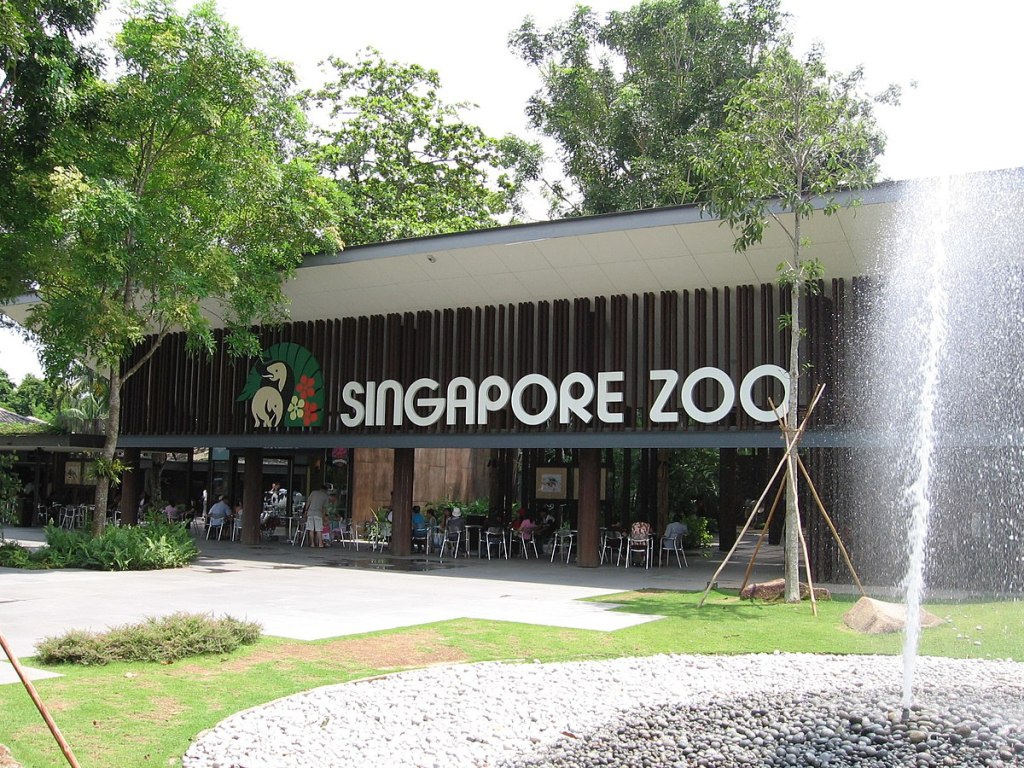 Singapore Zoo Beautiful Places to Visit in Singapore