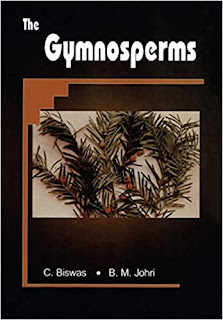 The Gymnosperms