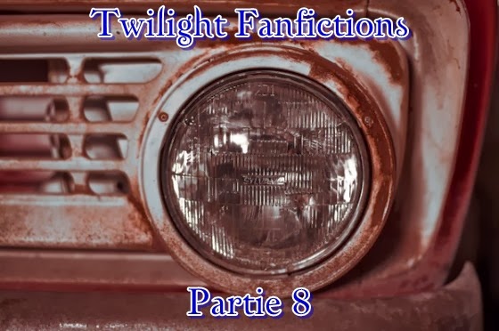 http://unpeudelecture.blogspot.fr/2014/02/twilight-fan-fiction-partie-8.html