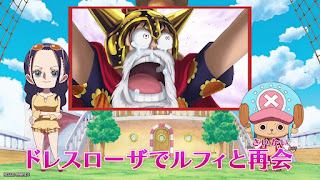 ワンピース アニメ エッグヘッド編 1089話 ロビン チョッパー ONE PIECE Episode 1089