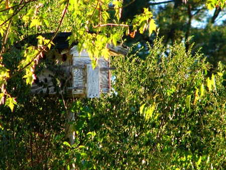 birdhotel