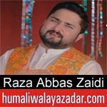 https://www.humaliwalayazadar.com/2018/04/syed-raza-abbas-zaidi-manqabat-2018.html