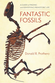 fantastic fossils cover