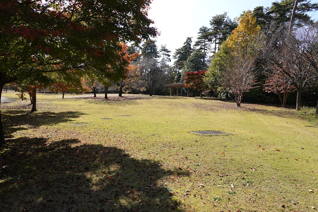 鳥取県西伯郡南部町鶴田 とっとり花回廊 桜の広場