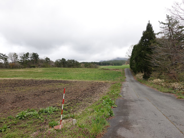 鳥取県西伯郡伯耆町丸山　牧草地