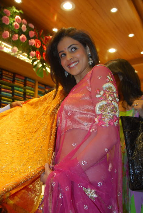 genelia dsouza photo gallery