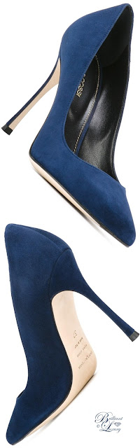 ♦Sergio Rossi blue velours stiletto pumps #pantone #shoes #blue #brilliantluxury