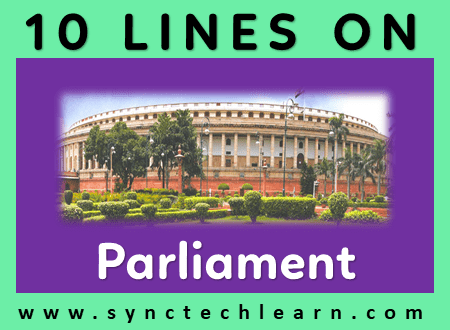 short essay on Parliament of India