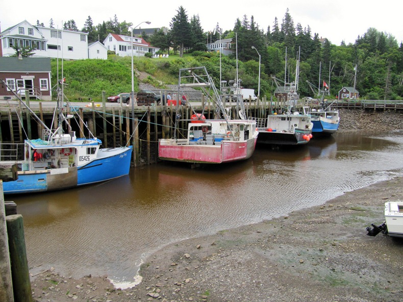 bay-of-fundy-10
