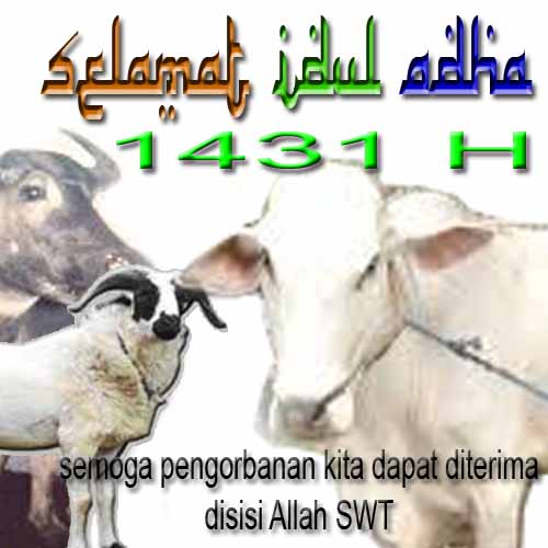 Td desain: idul adha / idul Qurban