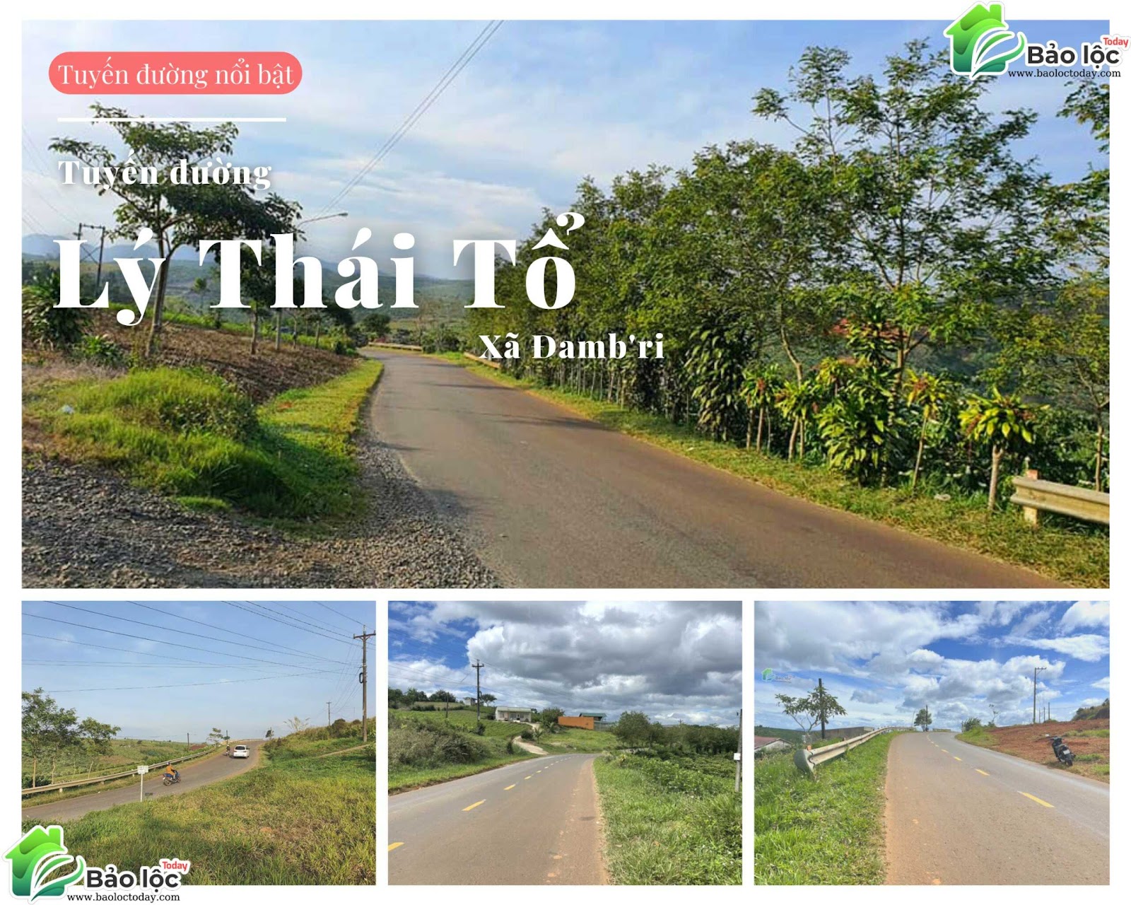 Hình ảnh tuyến đường Lý Thái Tổ, xã Đambri, thành phố Bảo Lộc, tỉnh Lâm Đồng