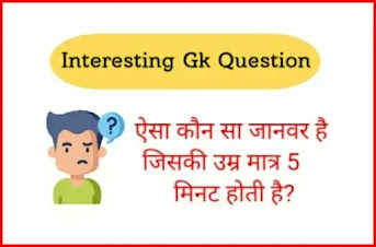 Interesting Gk Questions