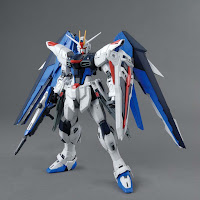 Bandai MG 1/100 Freedom Gundam Ver 2.0 English Manual & Color Guide