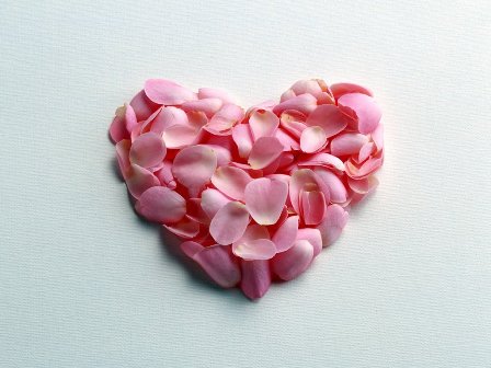 Cute Love Heart Wallpaper
