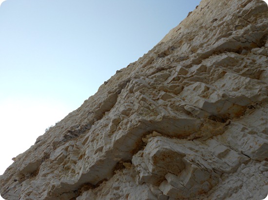 DSCN0799