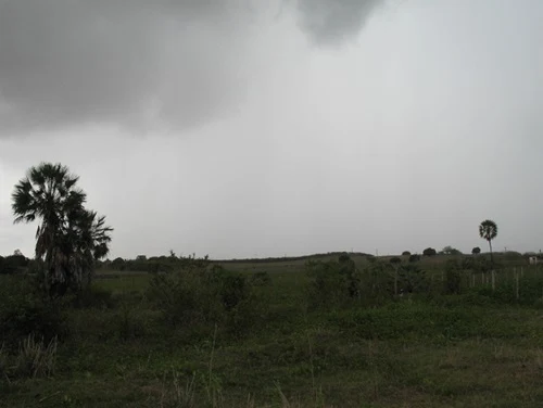 chove-em-23-municipios-cearenses