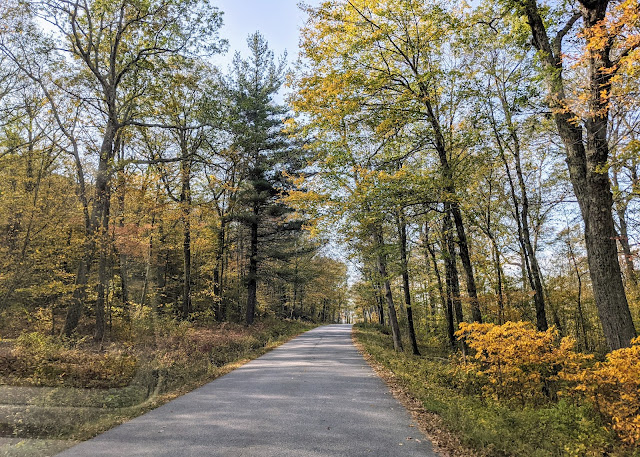 Mohawk State Forest Foliage Drive