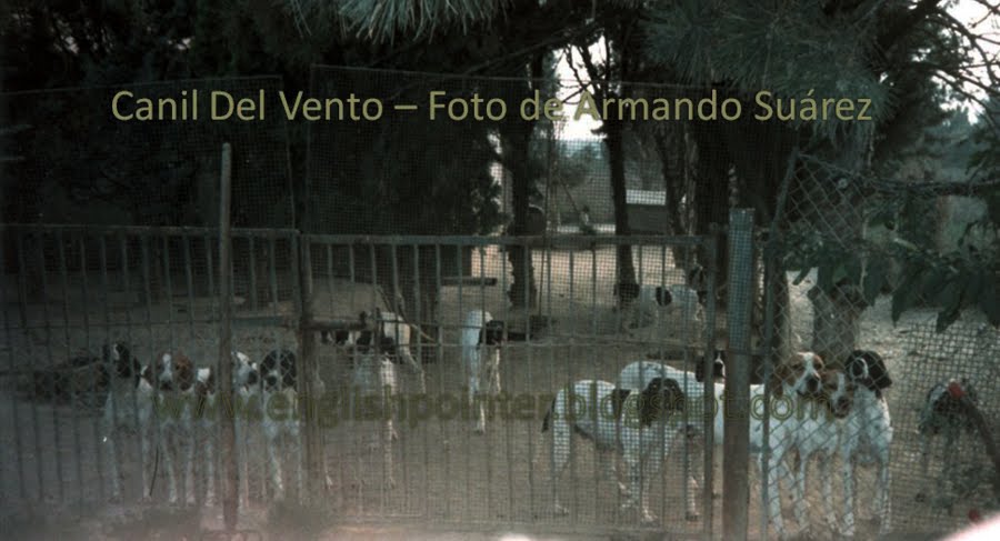 DEL VENTO -  DR,  GIORGIO GUBERTI