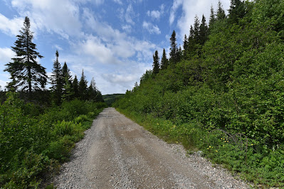 Trans Canada Trail Gallants Newfoundland.