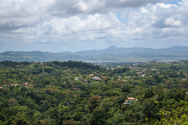 Panorama depuis les hauteurs de la route de la Trace