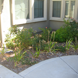 View album
