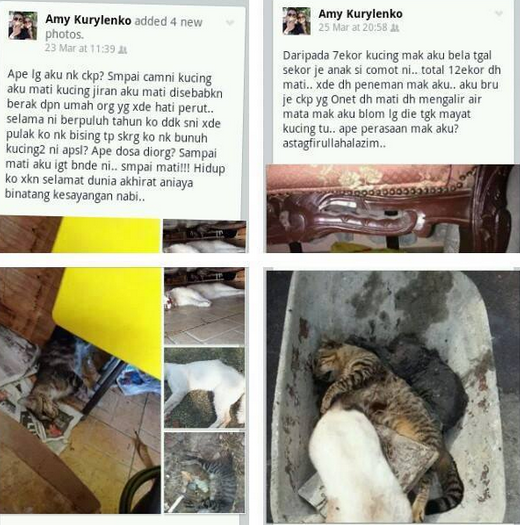 20 Ekor Kucing Mati Angkara Racun Di Johor - Engku Muzahadin