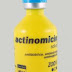 Actinomicina