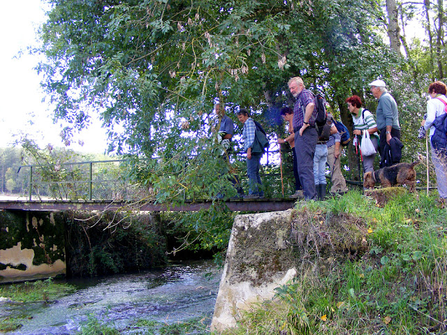 Photographed by Susan Walter.  Tour the Loire Valley with a classic car and a private guide.