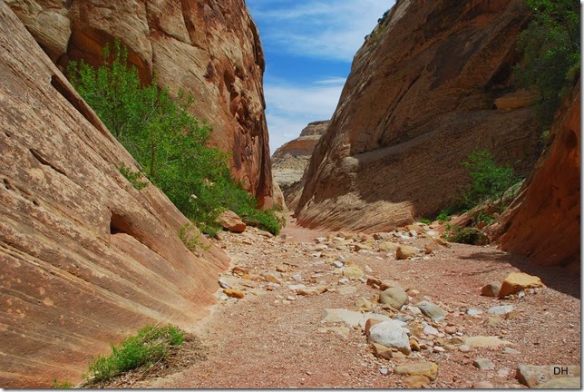 05-22-14 Capital Reef NP (158)