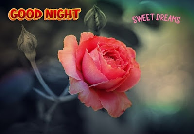 good night sweet dreams photos