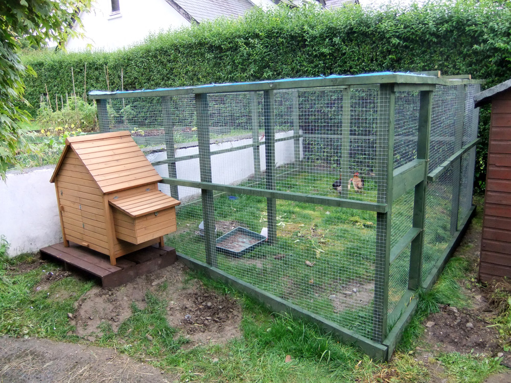 The completed coop and chicken run – along with its new inhabitants