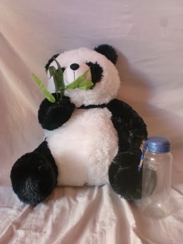 18+ Boneka Panda Cina