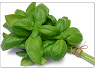 Benefit of Use basil in the cold to relieve Cold and cough