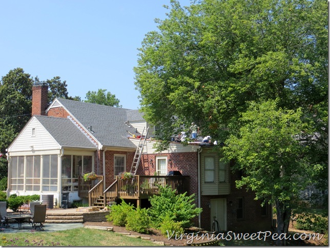 Roof Repair6