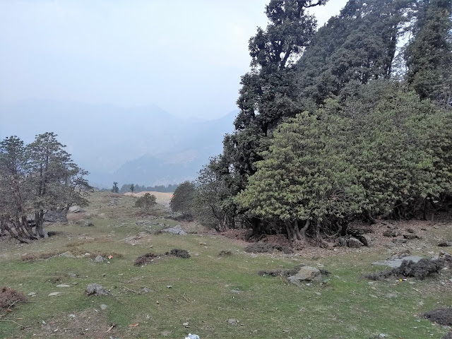 Uttarakhand, Chopta, Trek