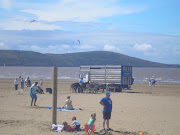 . a visit to the English seaside town of WestonsuperMare includes: (donkeysatseaside)