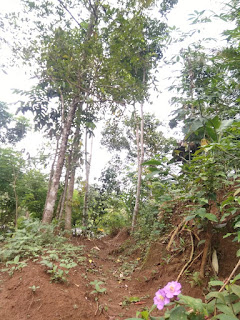 Tempat kejadian