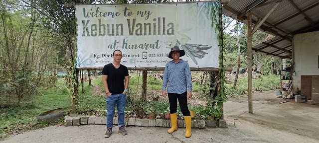 My Kebun Vanilla at Kinarut