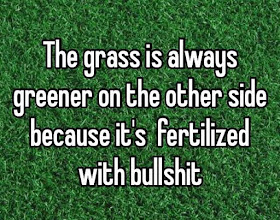 Grass is NOT Greener