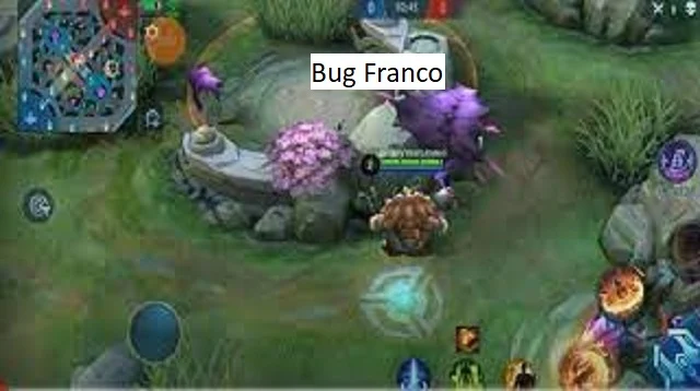 Bug Franco