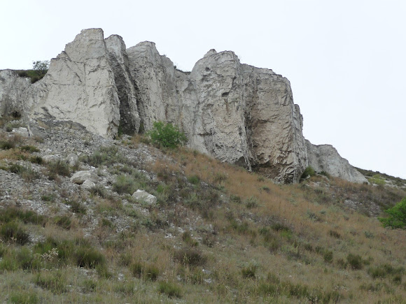 Білокузьминівські скелі. Пам'ятник природи. Донецька область