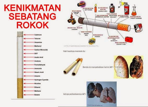 Apa sih bahaya dari rokok,apa saja yg terkandung dalam 