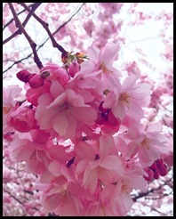 2017-04-24 16.38.38