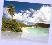 Caribbean Beach