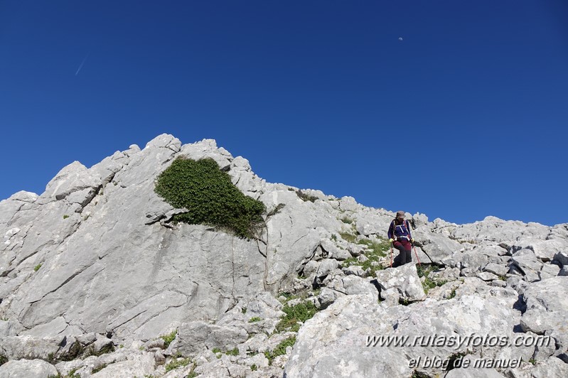 Caillo - Cintillo desde Benaocaz