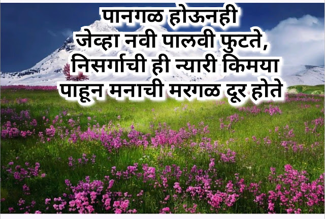 Nature quotes in marathi | निसर्गावर सुंदर असे सुविचार व status | 💝✌