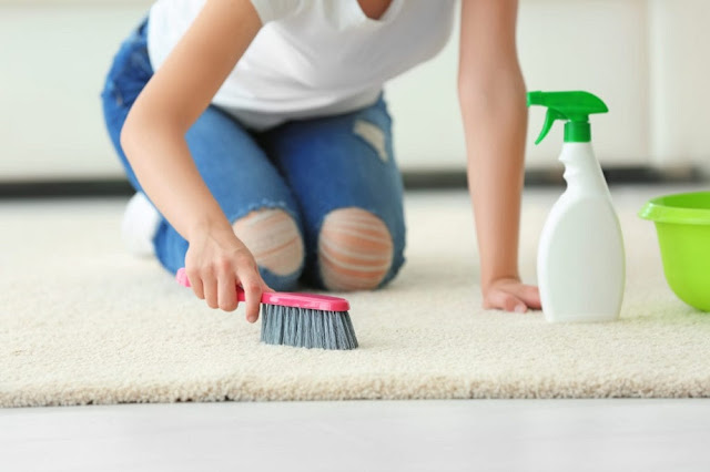 Carpet Cleaning Services Bolton Installmart