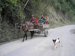 Honduran family on horse and cart