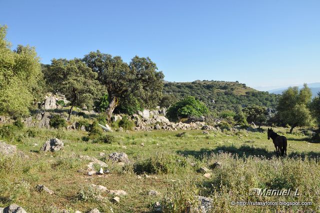 Benaocaz - Navazo Alto - Casa del Dornajo - El Encinarejo